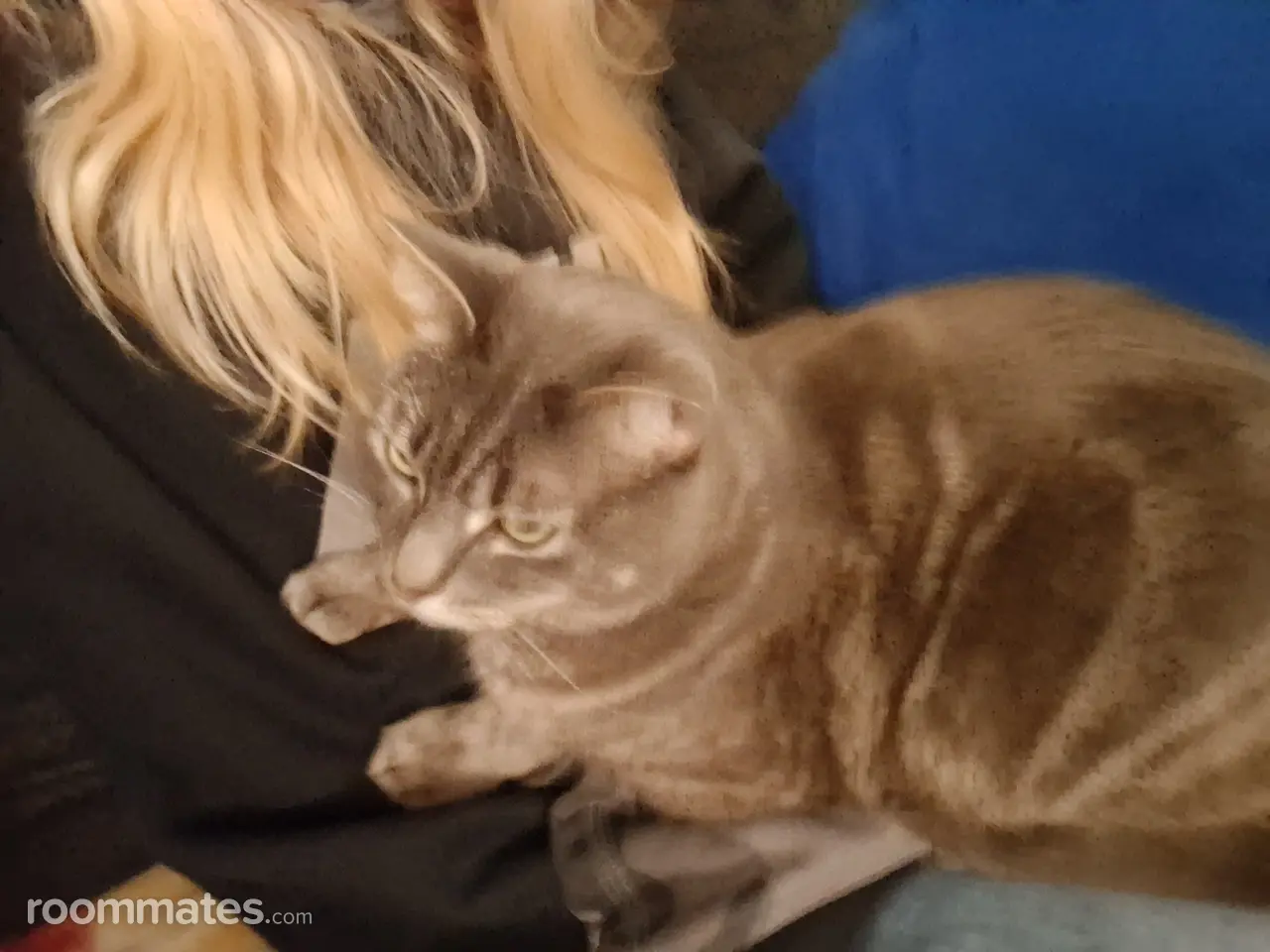 Profile photo 1 of 1