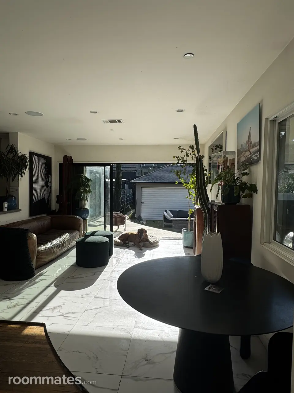 Profile photo 4 of 11