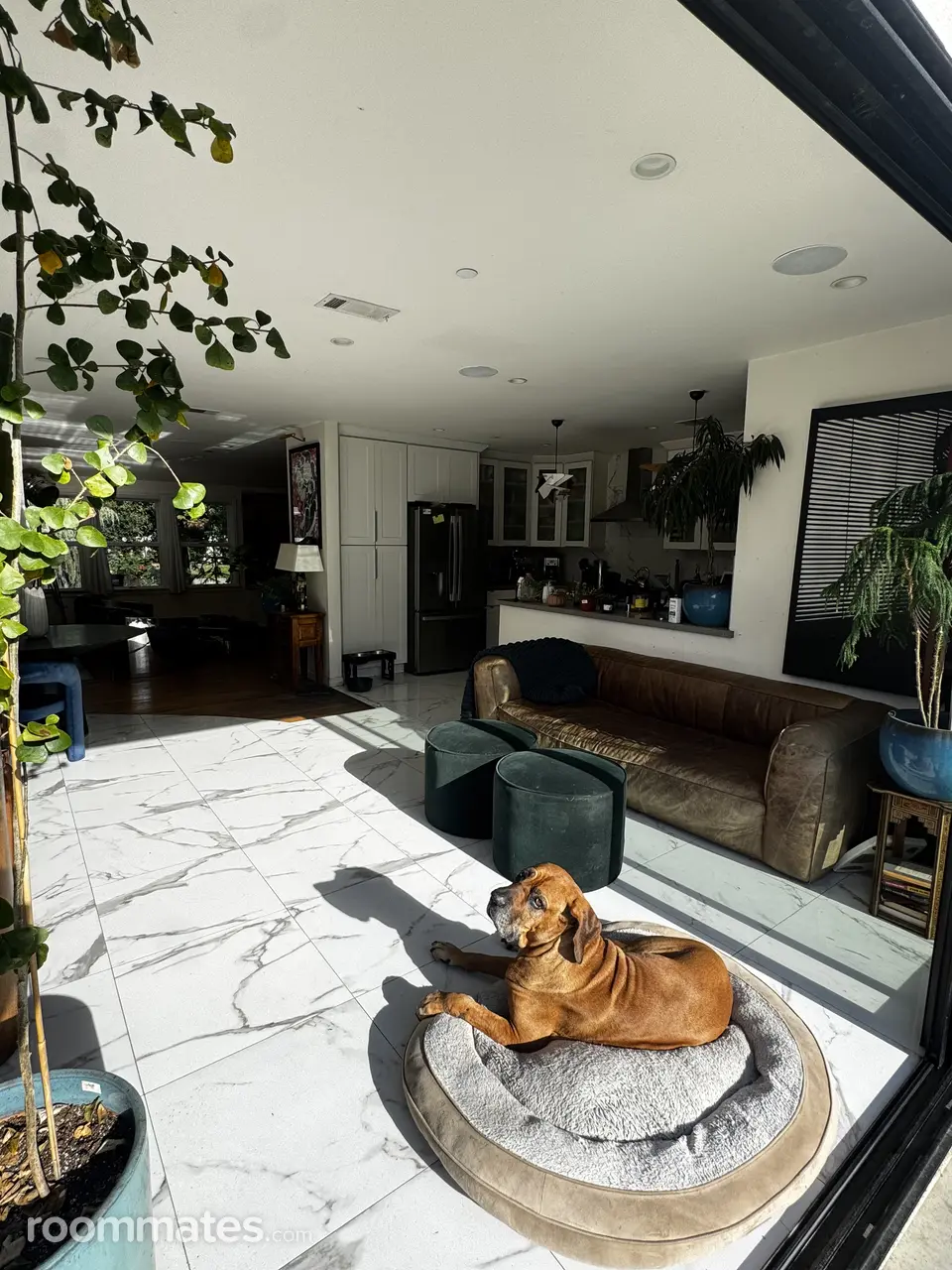 Profile photo 5 of 11