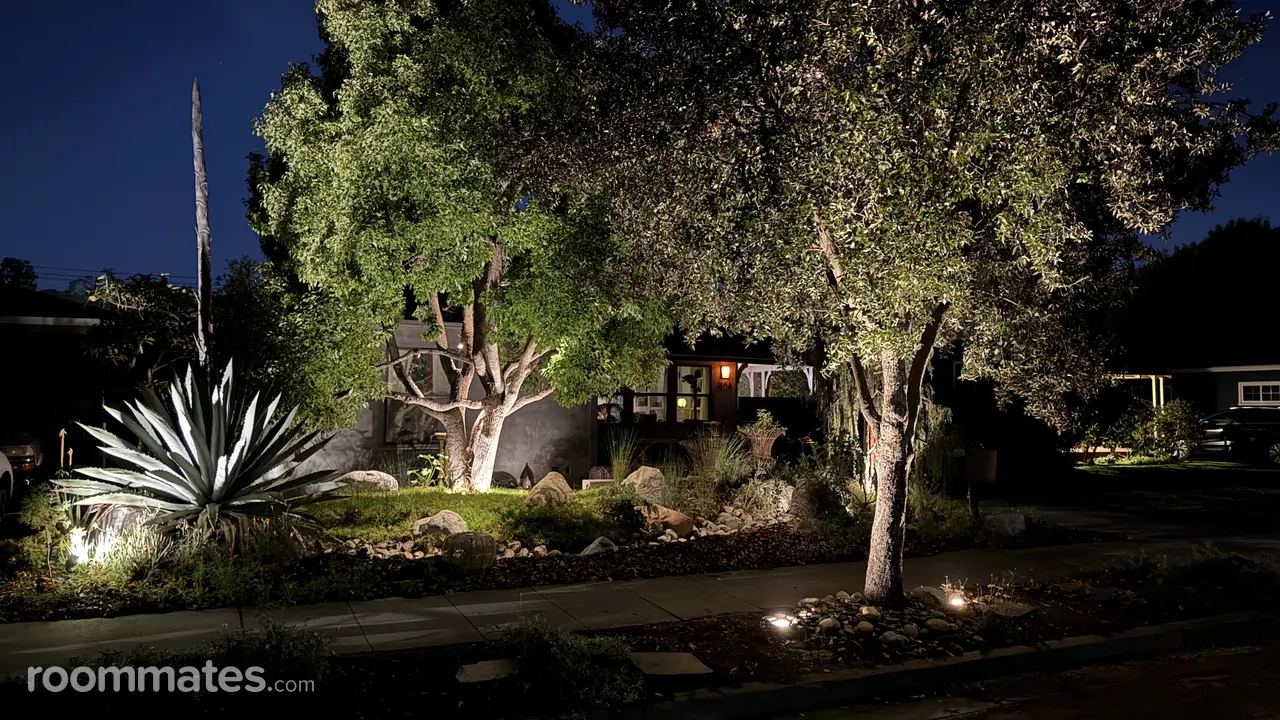 Profile photo 1 of 11