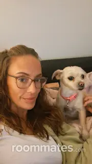 Roommate looking Panama City Beach, FL, $800