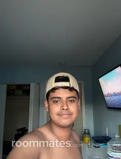 Roommate looking Palatine, IL, $700