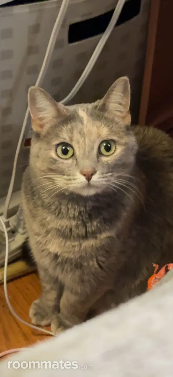 Profile photo 5 of 5