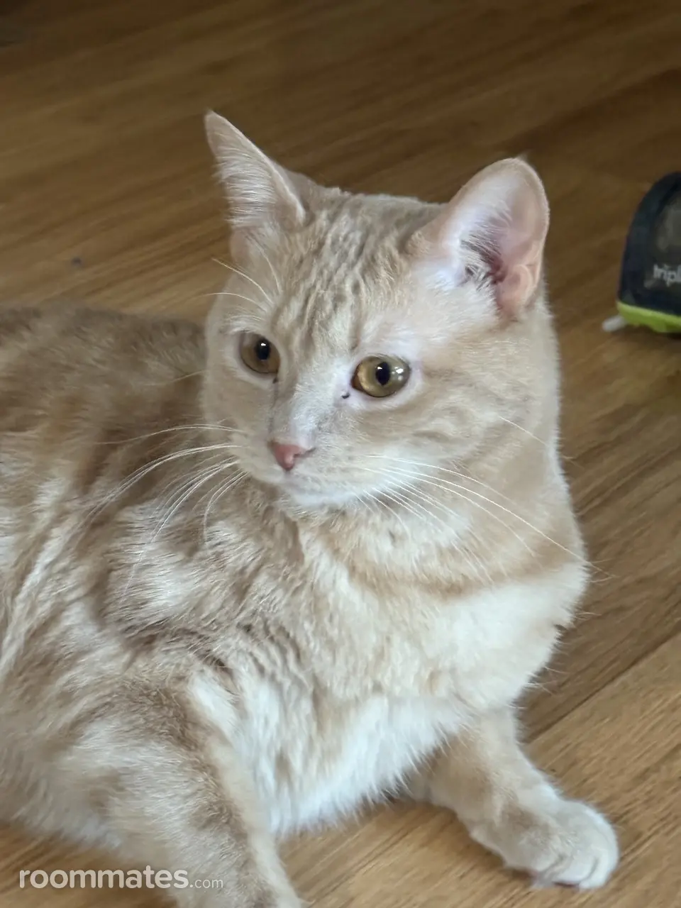 Profile photo 4 of 5