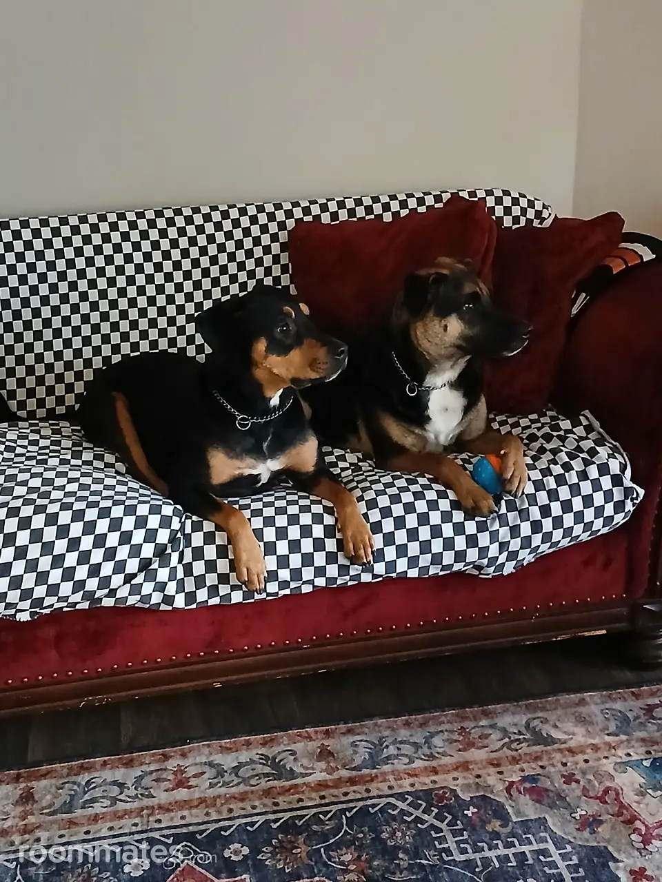 Profile photo 8 of 8