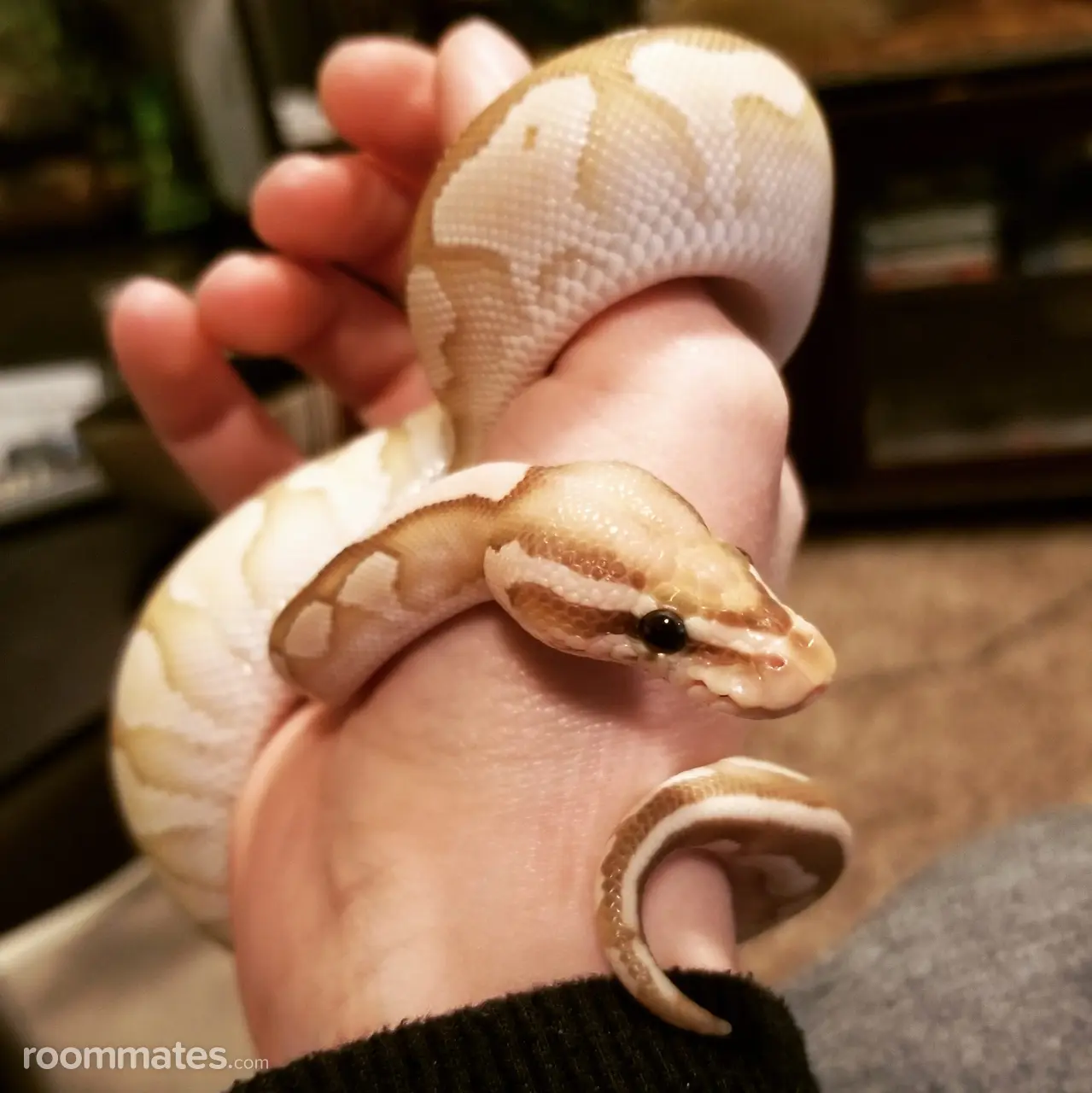 Profile photo 3 of 8