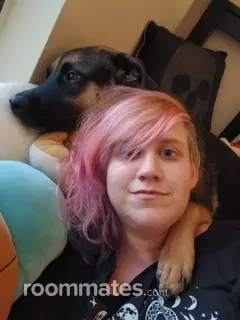 Roommate looking Durham, NC, $800