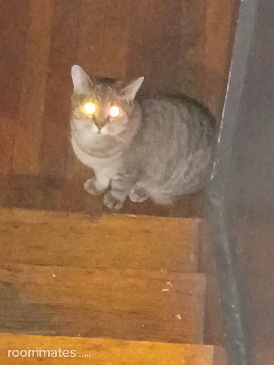 Profile photo 4 of 7