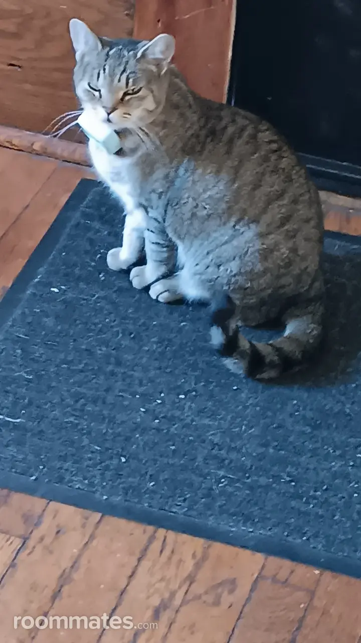 Profile photo 2 of 7