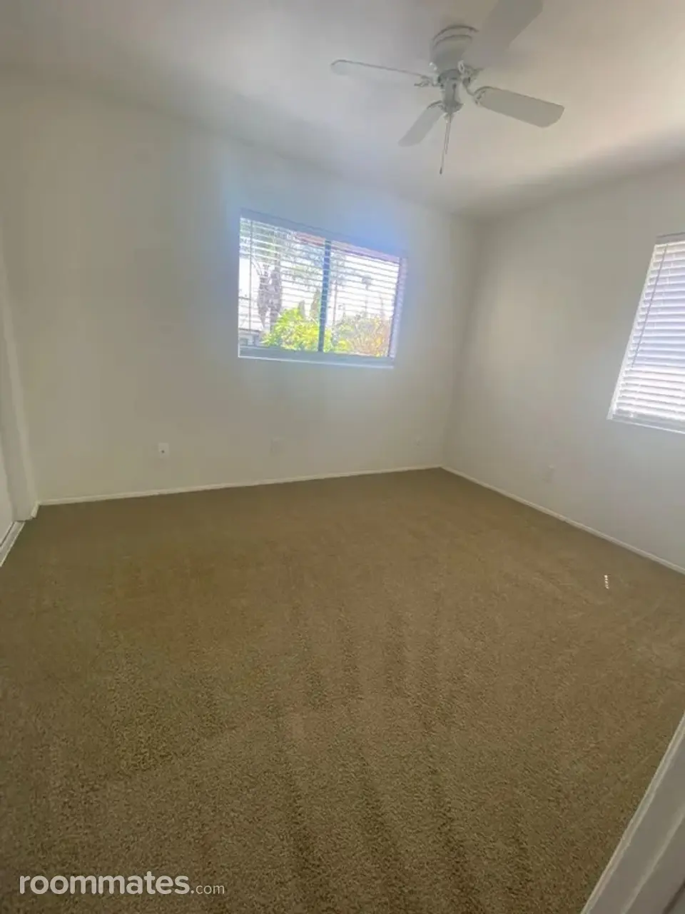 Profile photo 2 of 14