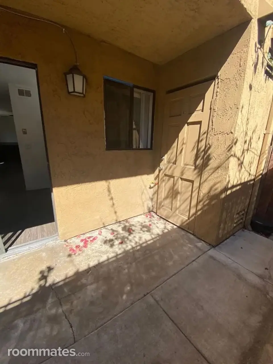 Profile photo 4 of 14