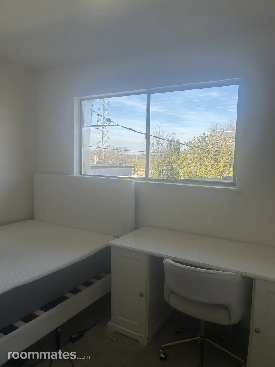 Profile photo 3 of 11