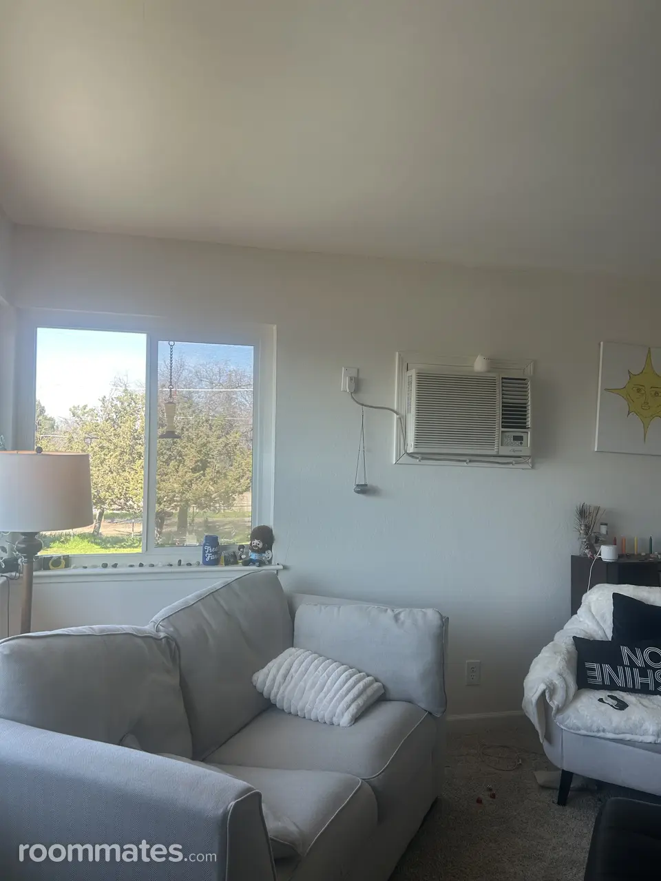 Profile photo 10 of 11