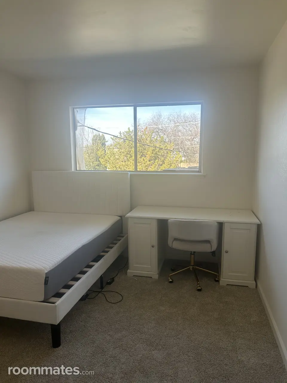 Profile photo 1 of 11