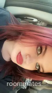 Roommate looking Port Charlotte FL, $700