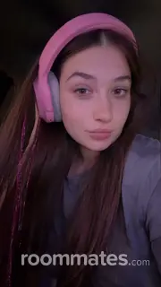 Roommate looking Port Richey, FL, $500