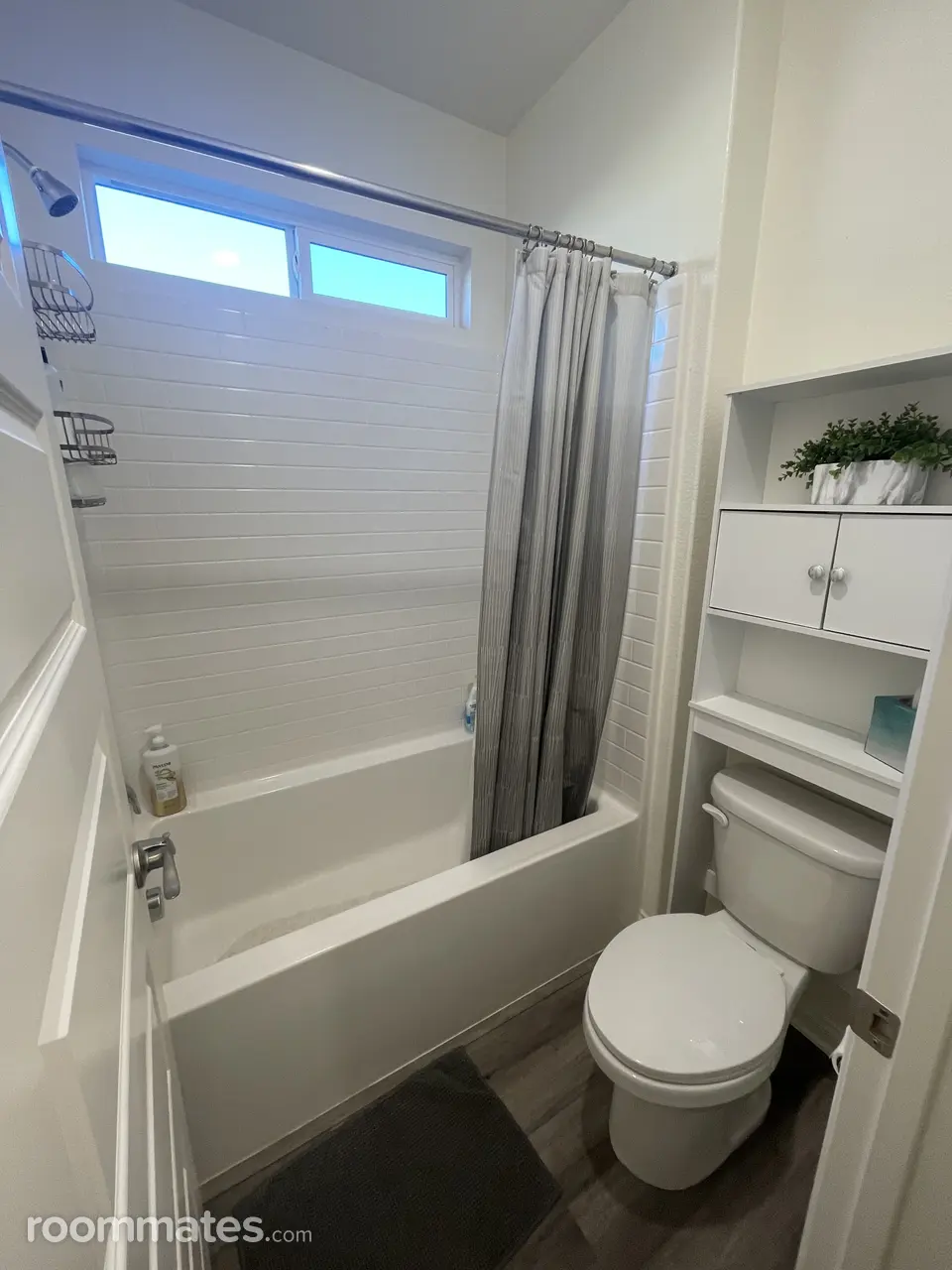 Profile photo 2 of 11