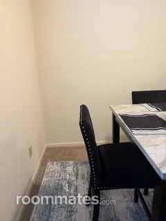 Room for rent in Norfolk, VA $500, apartment