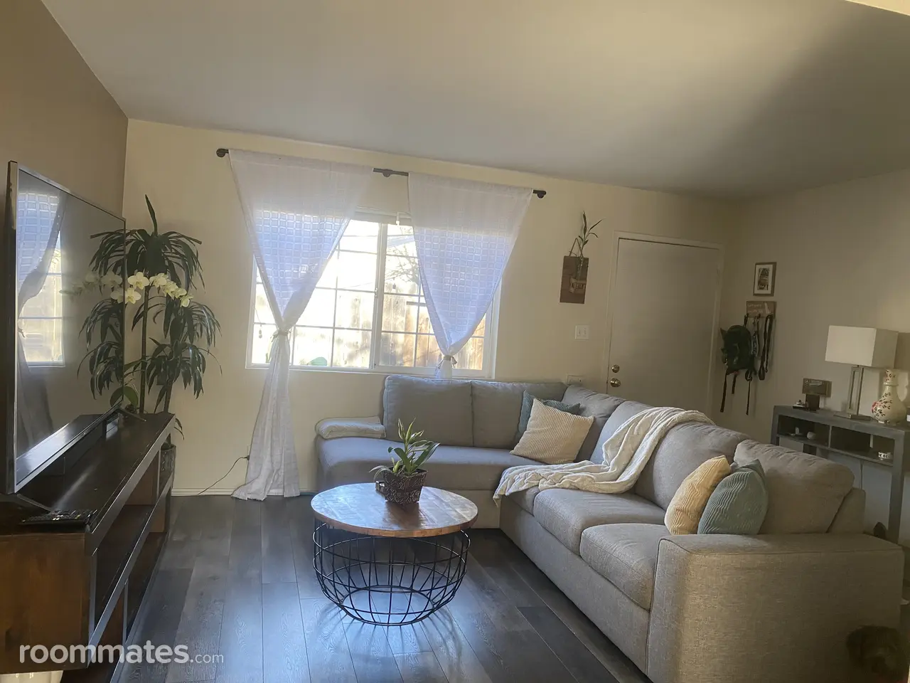 Profile photo 5 of 14