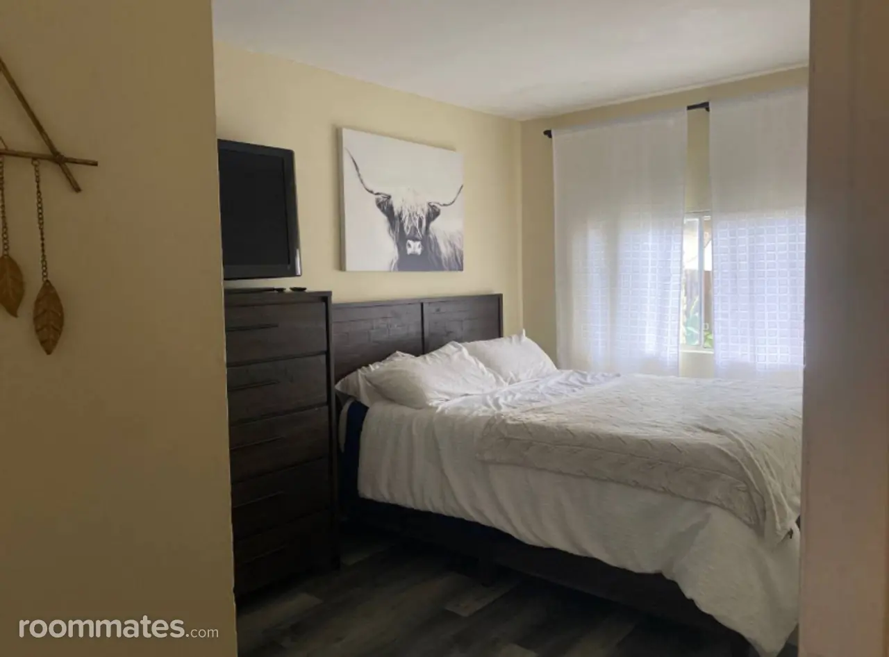 Profile photo 3 of 14