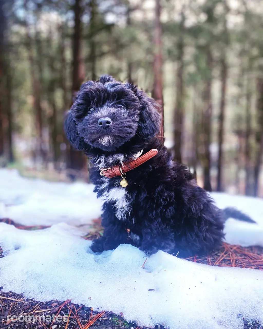 Profile photo 9 of 14