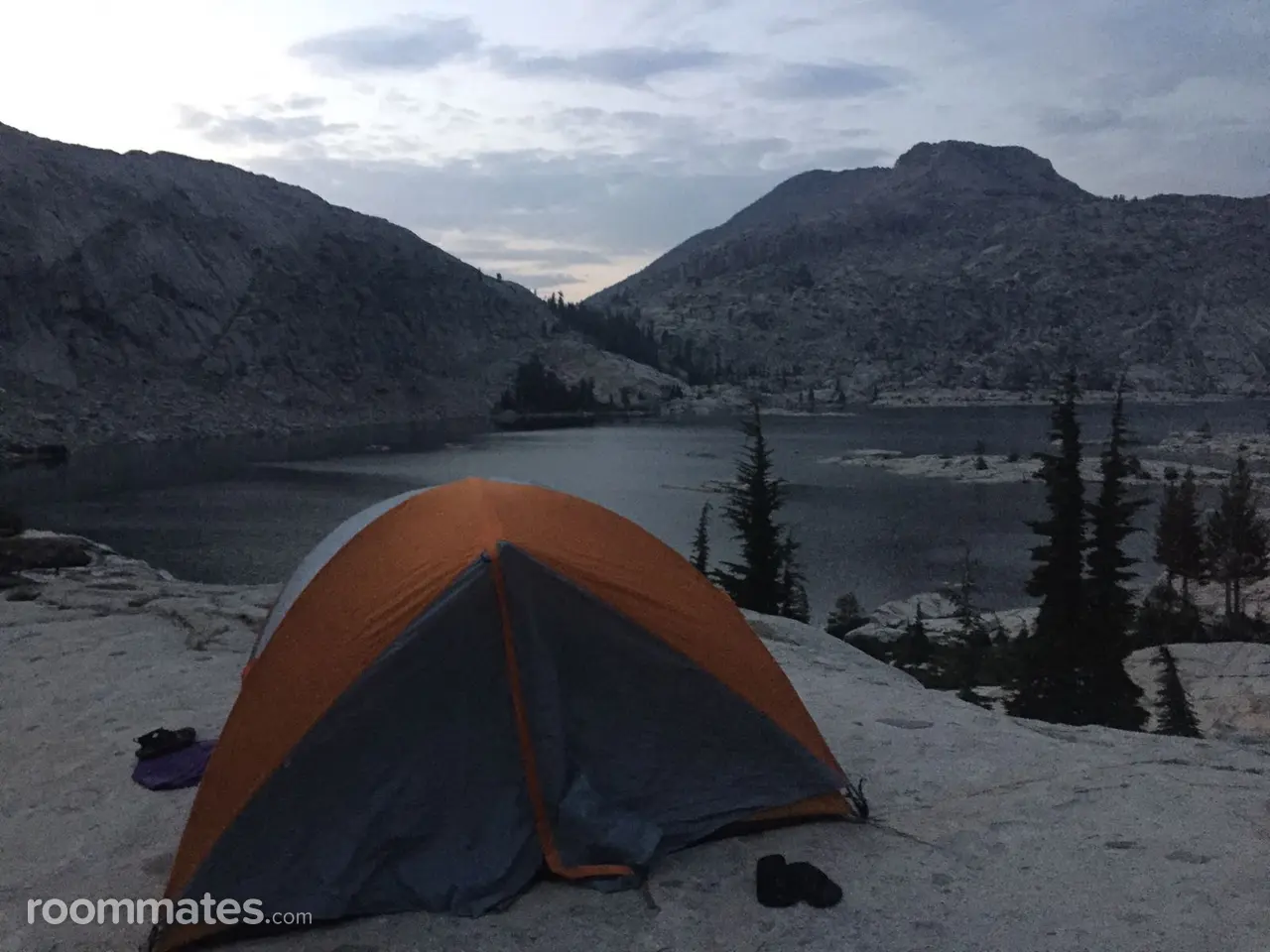 Profile photo 7 of 14