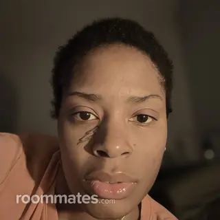 Roommate looking Raleigh, NC, $500