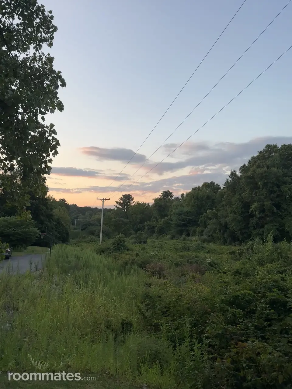 Profile photo 6 of 8