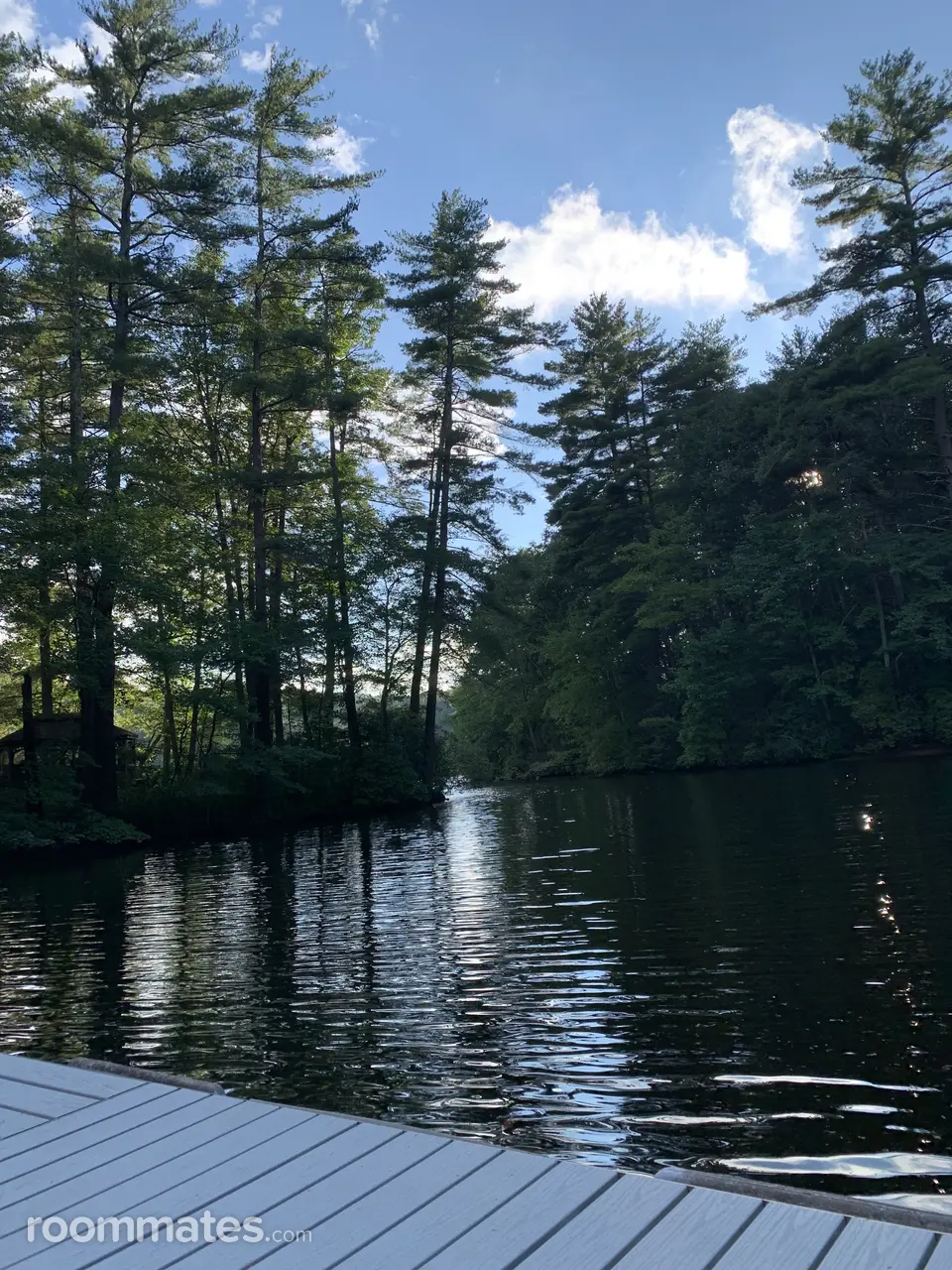 Profile photo 3 of 8