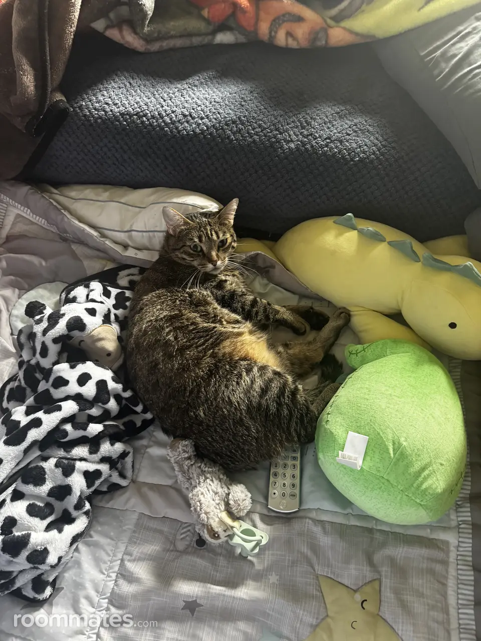 Profile photo 4 of 5