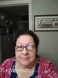 Roommate looking Phoenix, AZ, $900