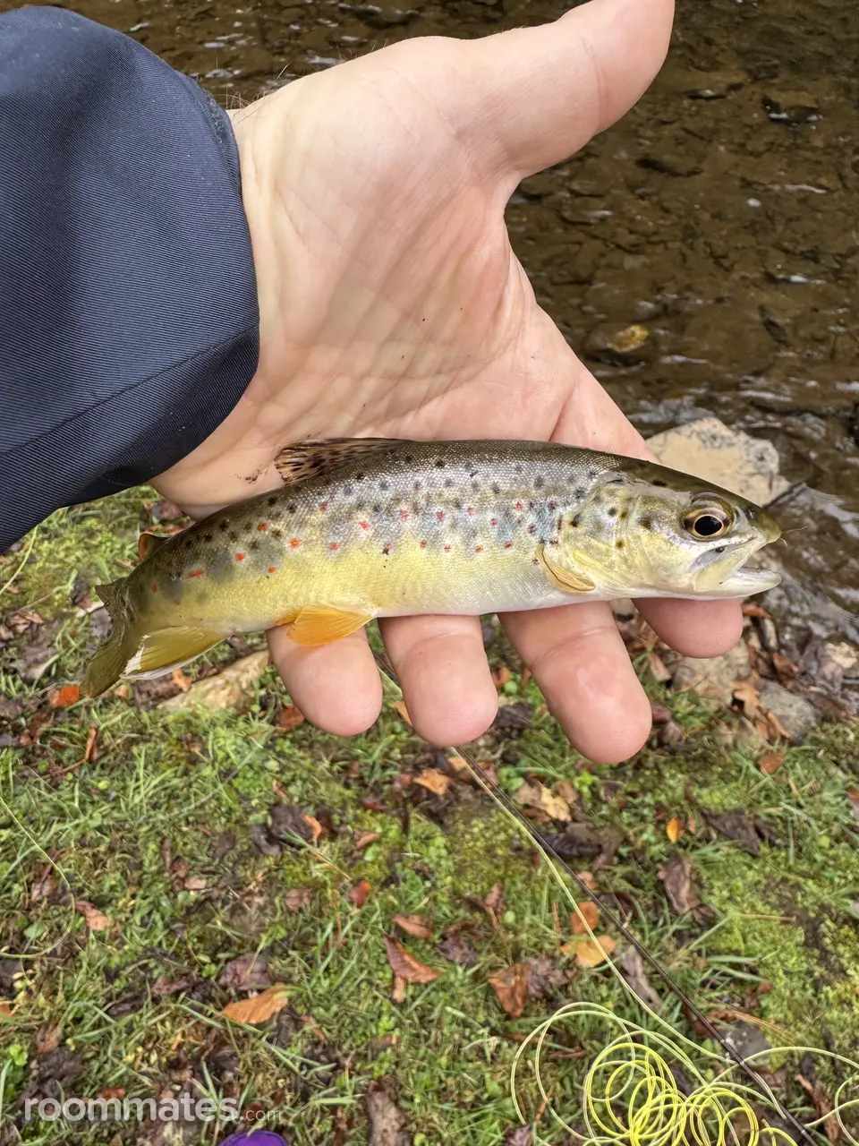 Profile photo 2 of 2