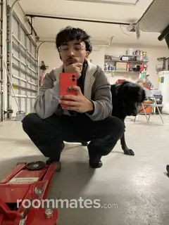 Roommate looking Cameron, NC, $900