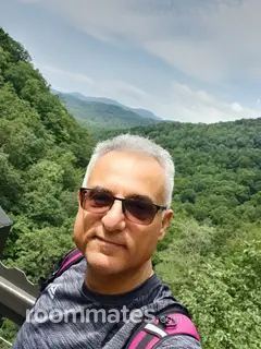 Roommate looking Winston-Salem, NC, $700