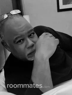 Roommate looking Detroit, MI, $800