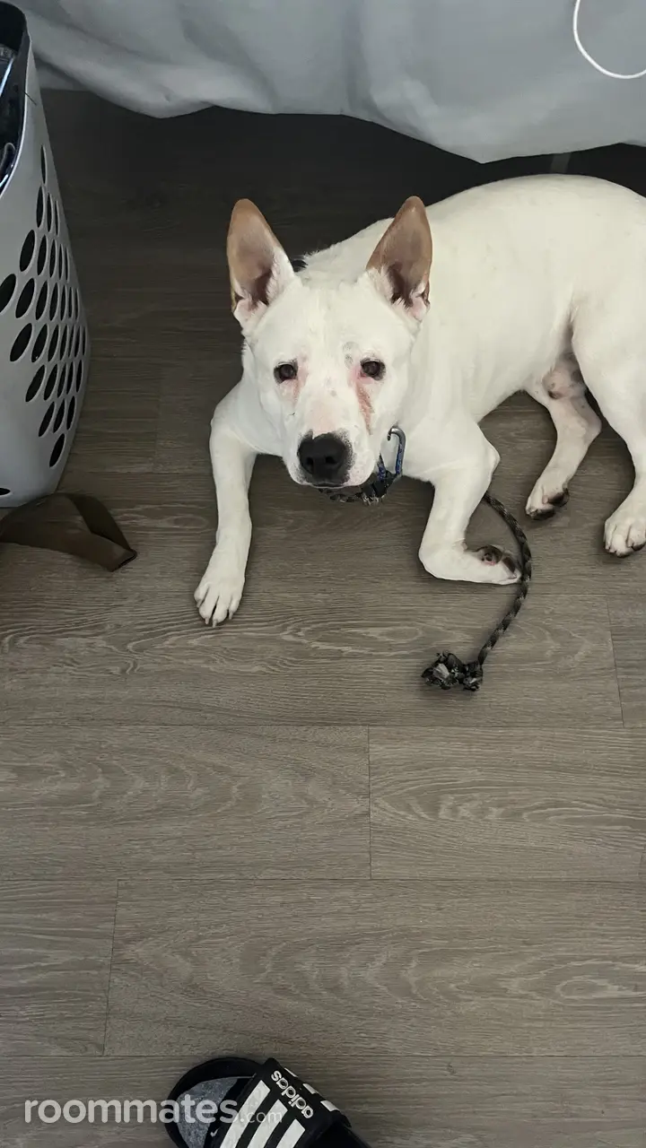 Profile photo 5 of 7