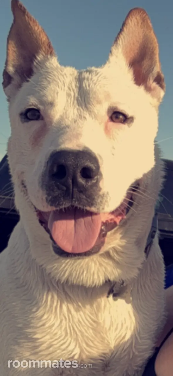 Profile photo 4 of 7