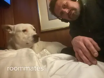 Roommate looking Stuart, FL, $900