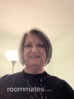 Roommate looking Kalamazoo MI, $800