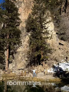 Roommate looking Independence, MO, $600