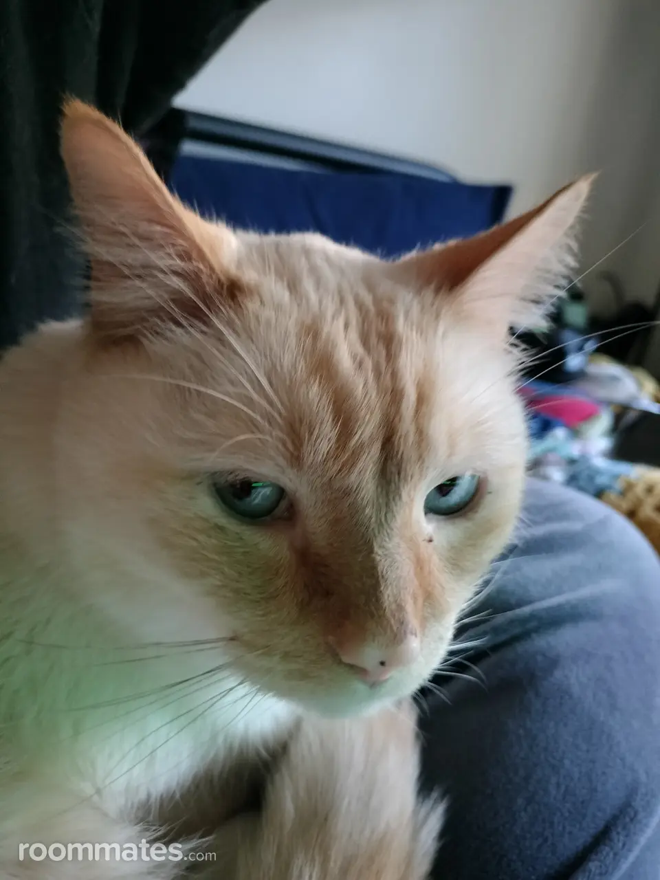 Profile photo 1 of 1