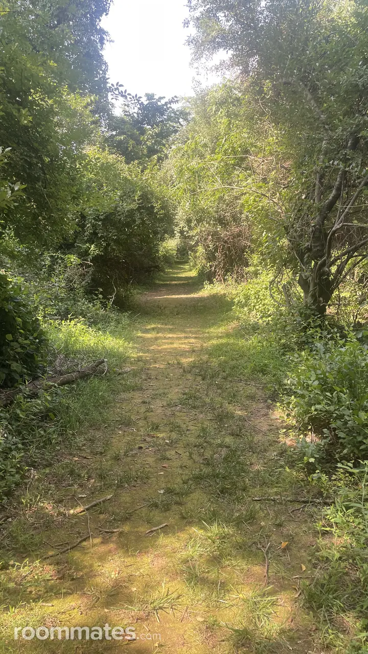 Profile photo 5 of 5