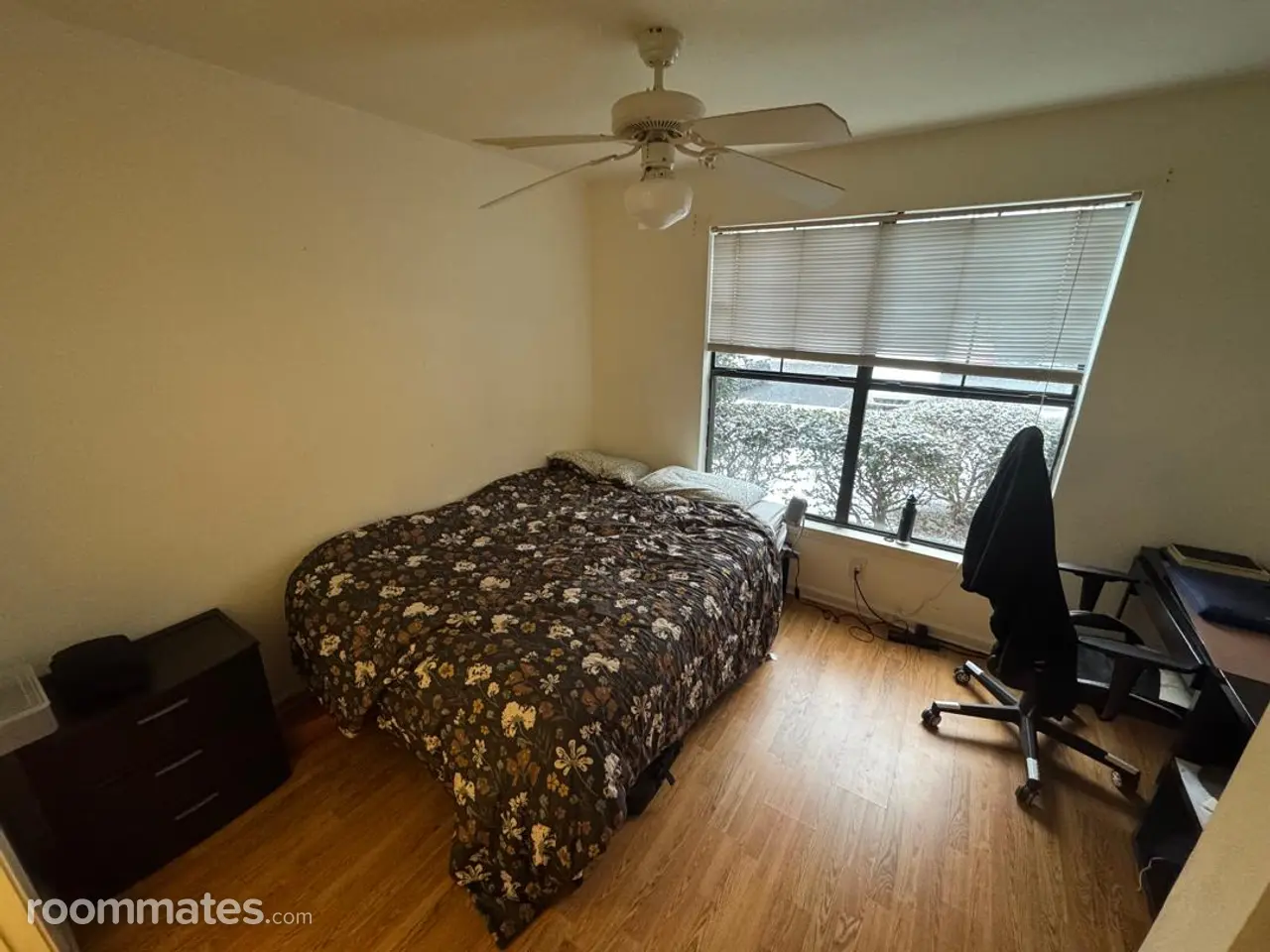 Profile photo 1 of 2