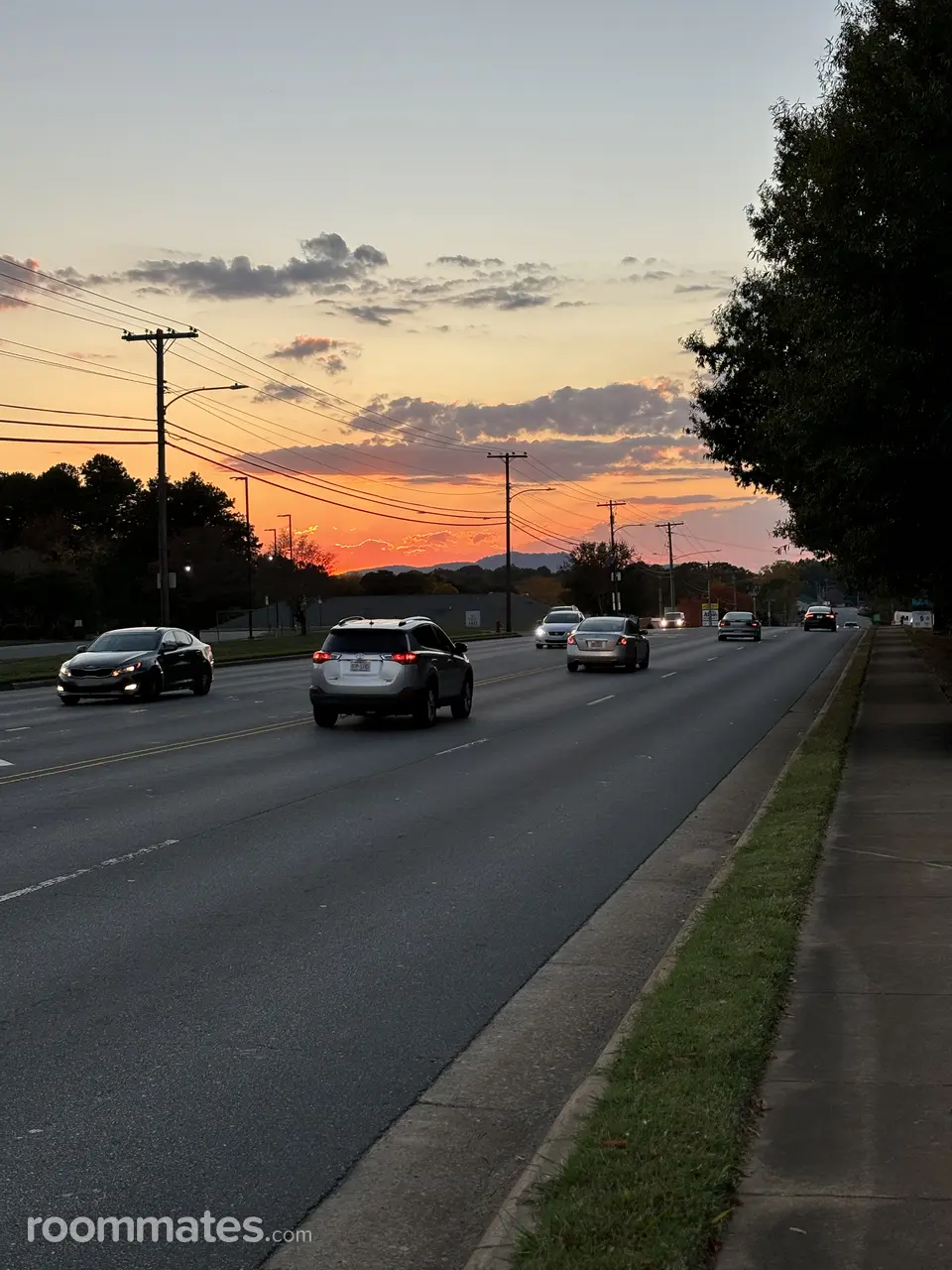 Profile photo 1 of 1