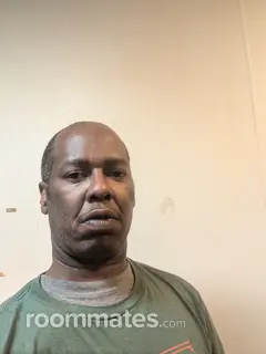 Roommate looking Greenville, SC, $600