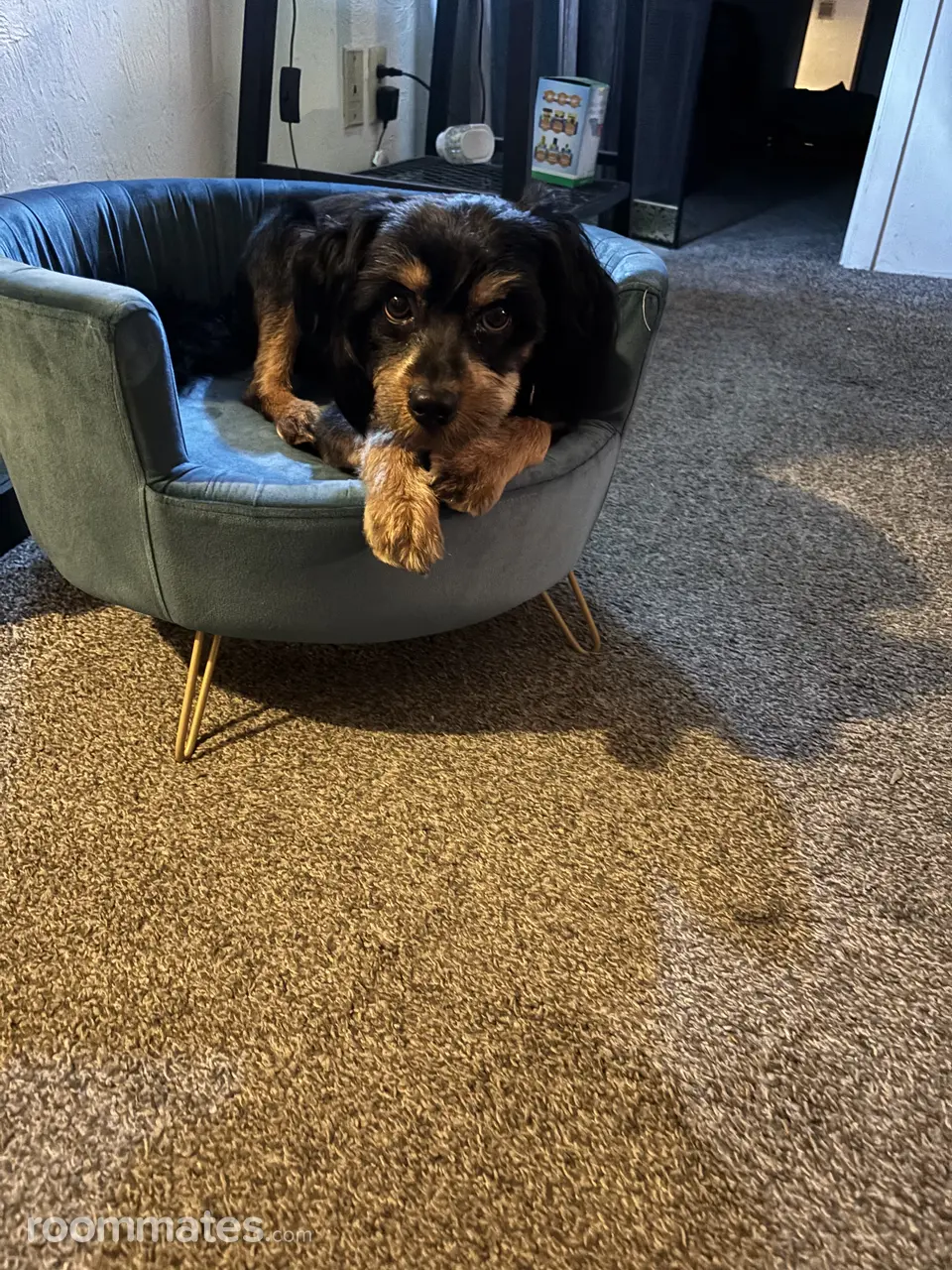 Profile photo 1 of 1