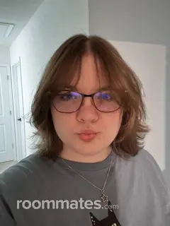 Roommate looking Knoxville, TN, $800