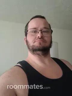 Roommate looking Parma, OH, $900