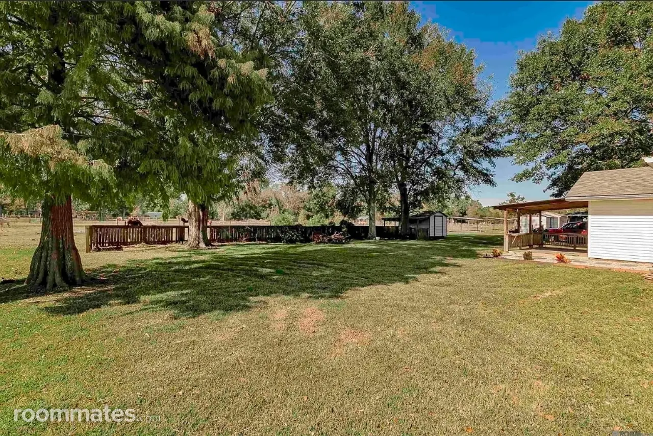 Profile photo 9 of 10