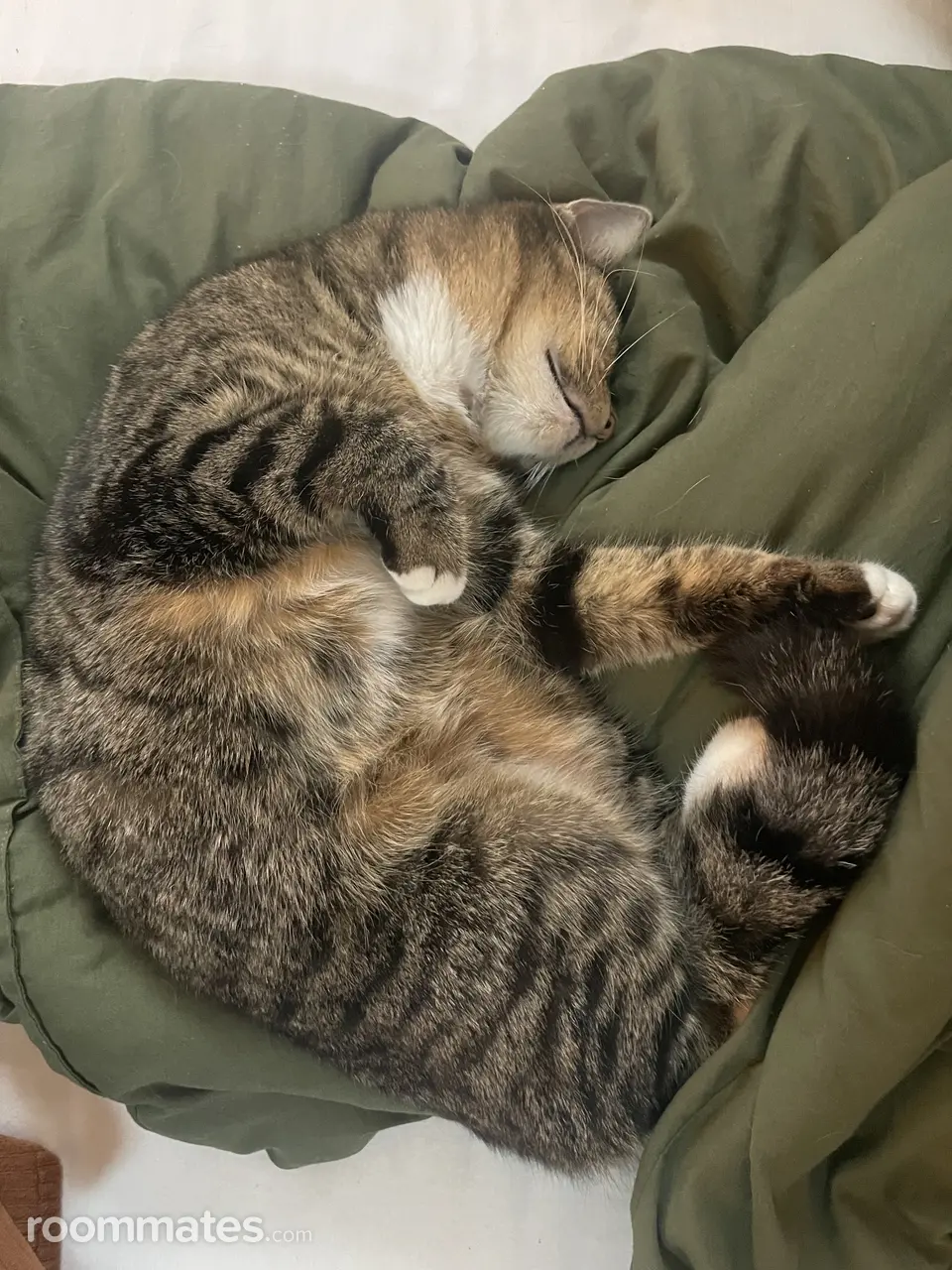 Profile photo 3 of 3